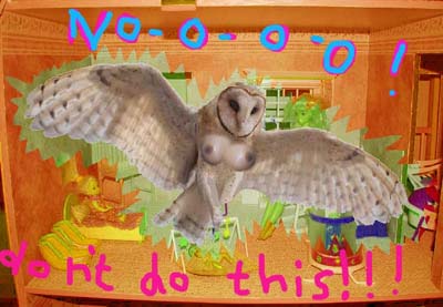 It is a picture of owls.